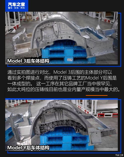 這里與眾不同 淺析特斯拉上海超級(jí)工廠與上海科技企業(yè)的共生生態(tài)